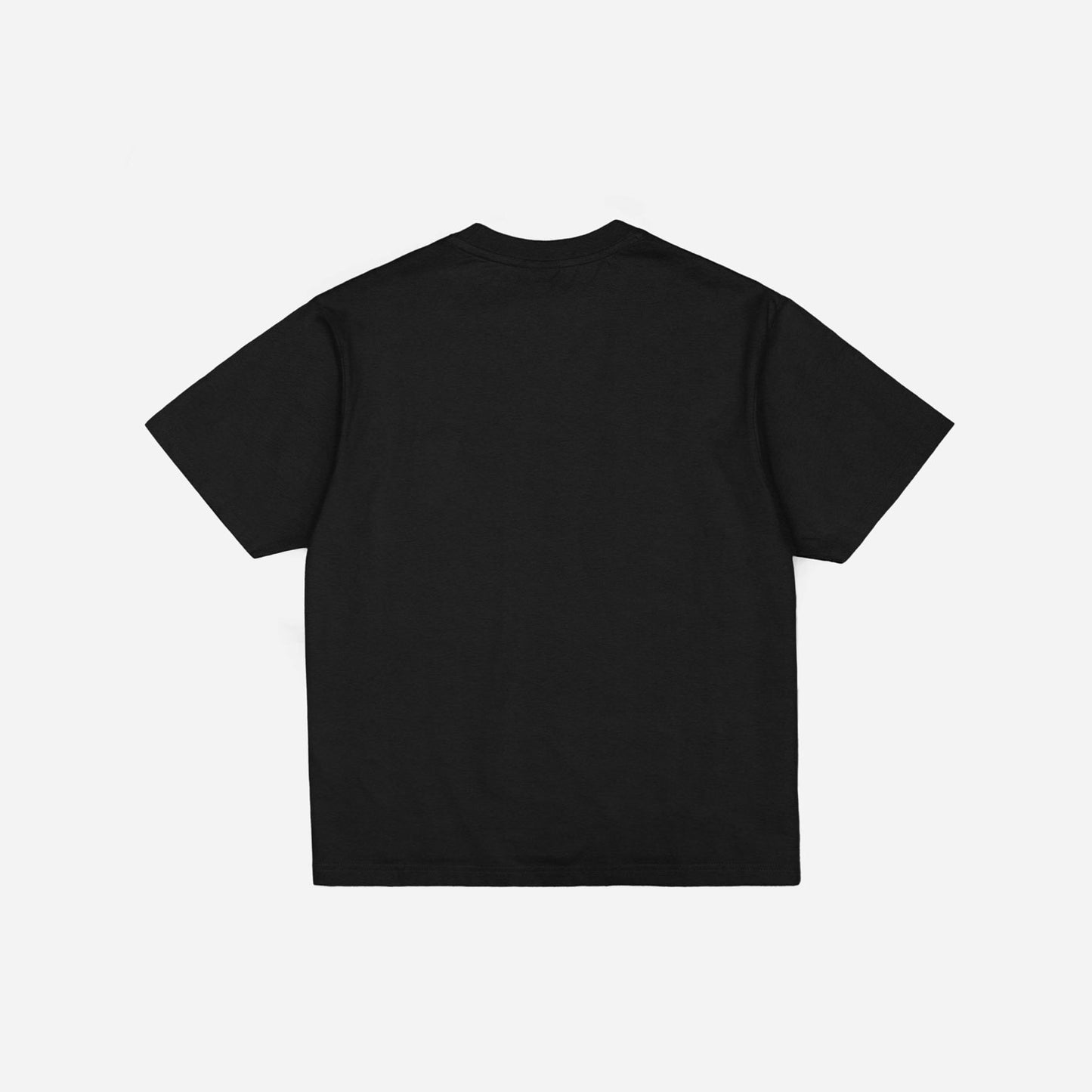 MIRROR MAZE GARMENT DYED CROP T-SHIRT - BLACK