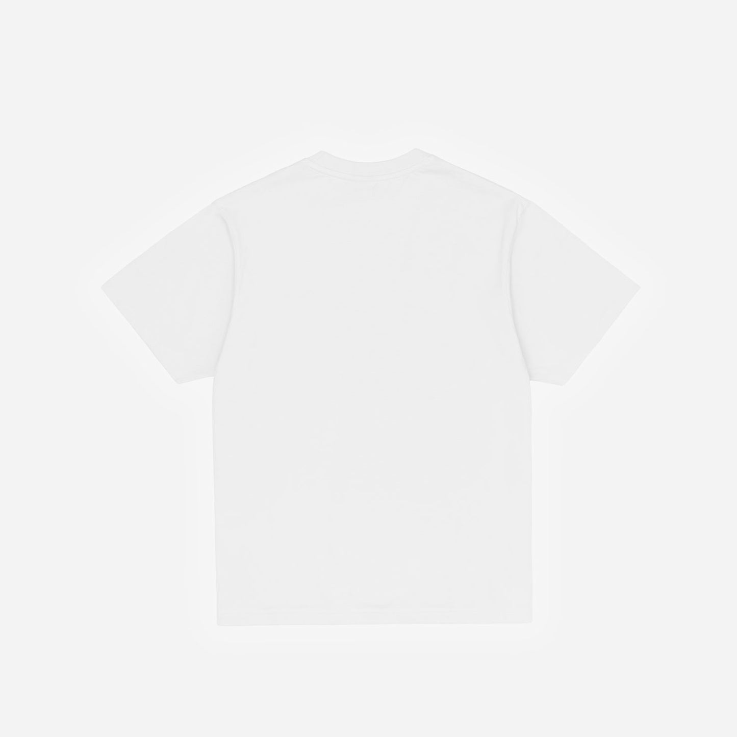 CLASSIC LOGO T-SHIRT WHITE